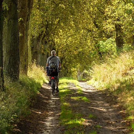 بيت للعطل Moewennest Mit Garten Und Kamin Silz (Mecklenburg-Vorpommern)